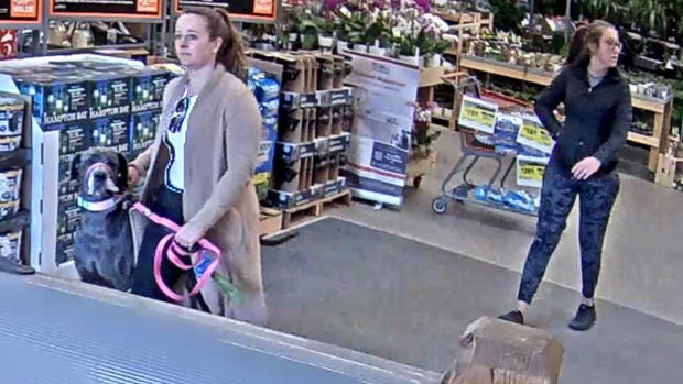 Home Depot dog bite - Jefferson County Sheriff's Office