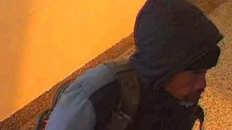 Home invader chased out of 75-year-old woman's apartment in Queens