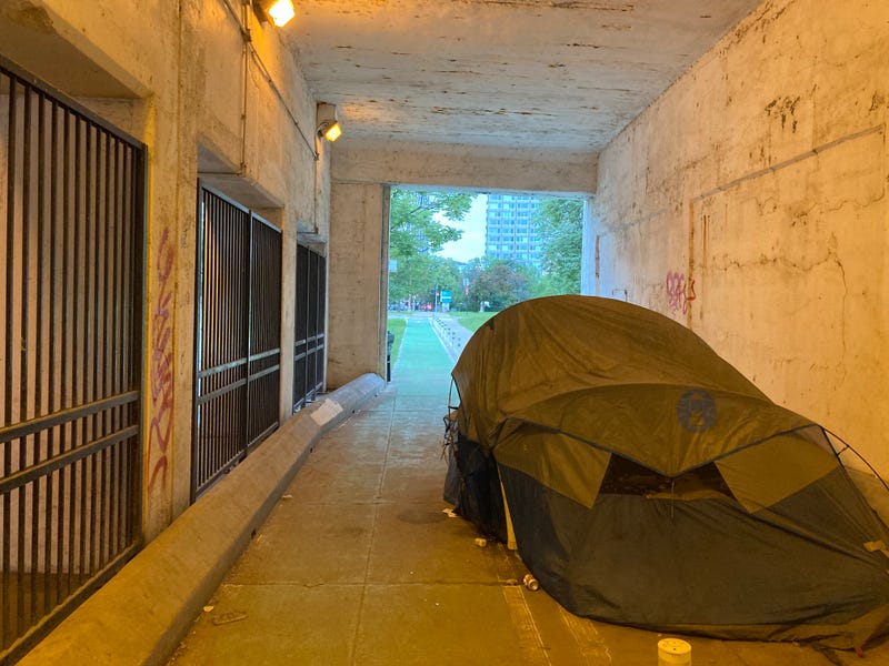 A homeless encampment under Lake Shore Drive