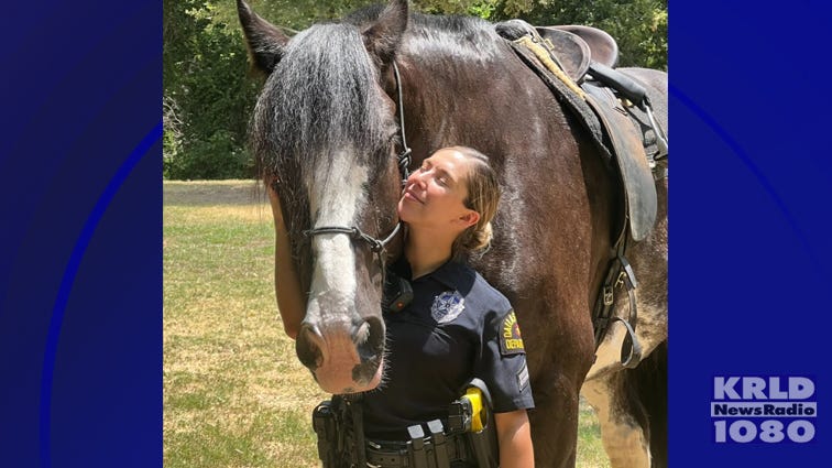 Much-loved Dallas Police Mounted unit horse dies from medical complications