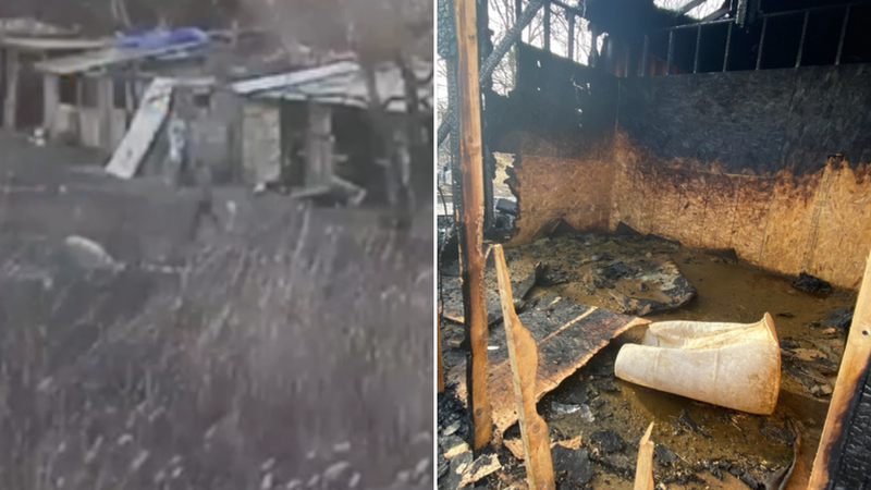 Video: Man wanted in connection with deadly fire at makeshift horse stable in Southwest Philadelphia
