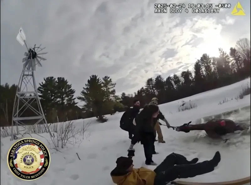 Horse Rescue
