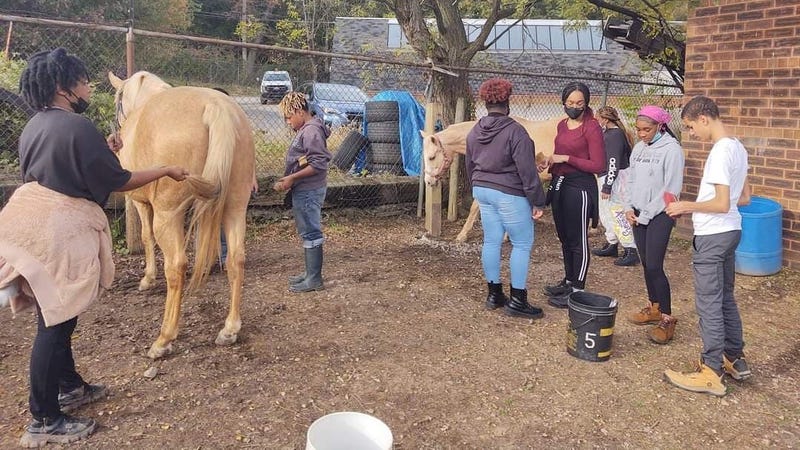 Students at W.B. Saul High School, a magnet school for agricultural sciences in Northwest Philadelphia, care for a horse.