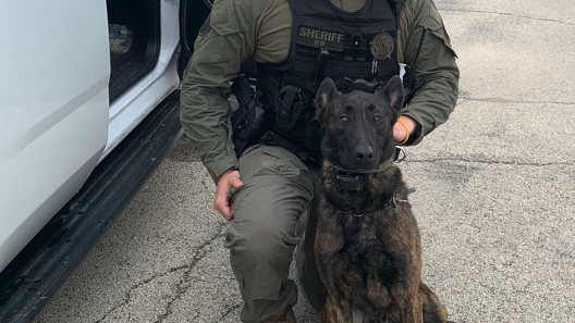 Carjacking suspect, police dog killed in Kane County after chase, gunfire exchange: sheriff