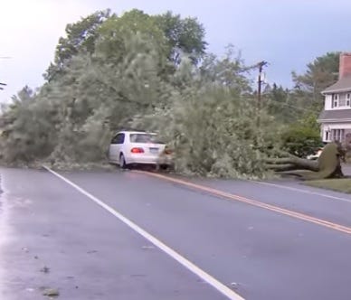 How Did The Driver Not See This?