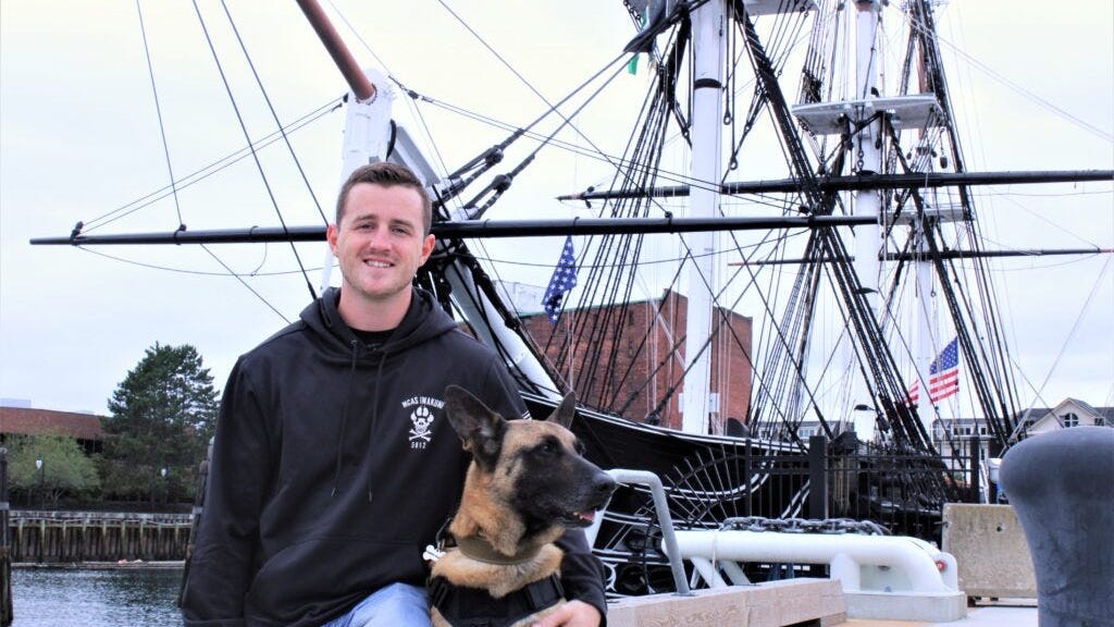On the 19th anniversary of 9/11, a military working dog and his Marine handler were reunited