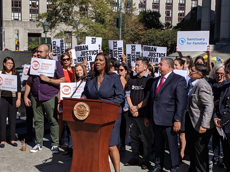 Letitia James at ICE lawsuit rally
