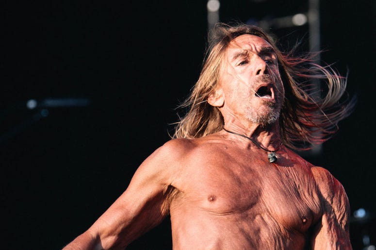 Iggy Pop performs live in concert.