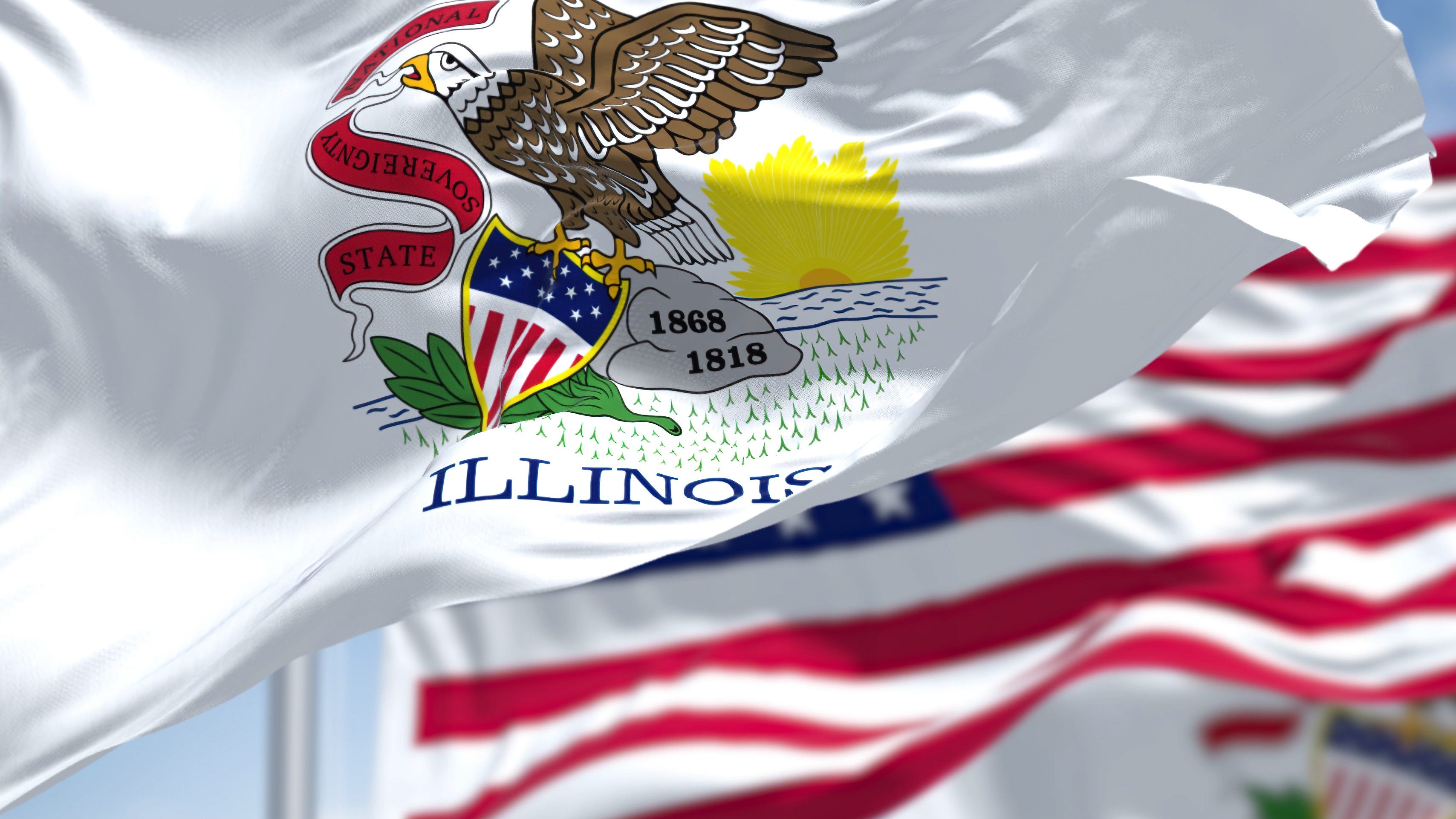 Bill would set the stage for Illinois state flag makeover