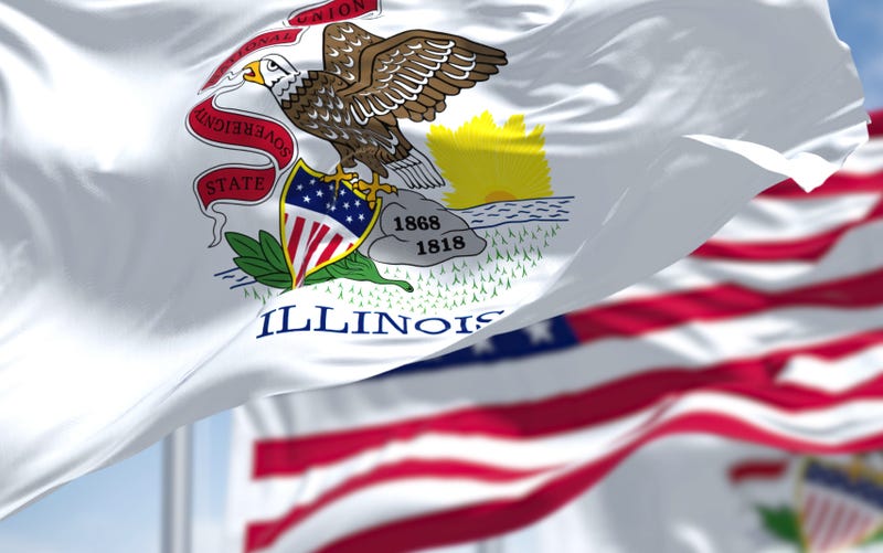 Illinois state flag