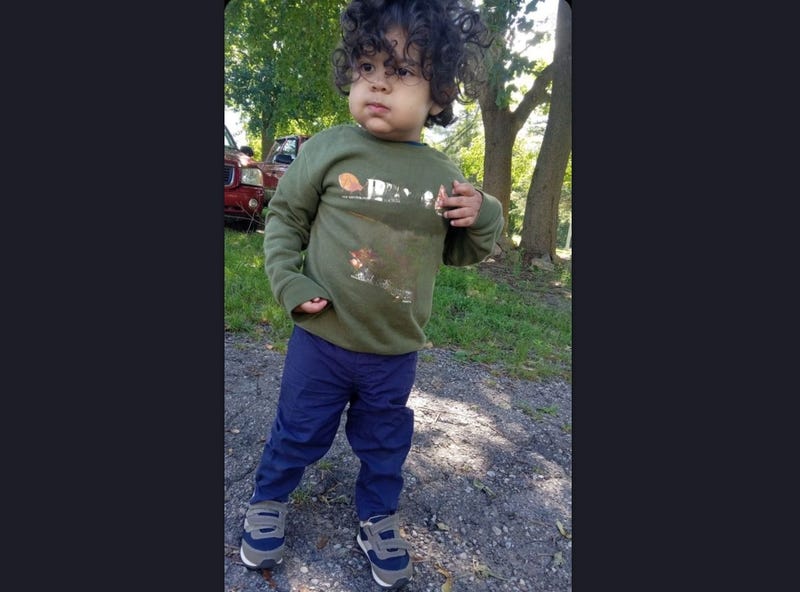 Search efforts to locate a missing 3-year-old boy with special needs continues Tuesday morning after officials said the child walked away from his Mid-Michigan home the day before.