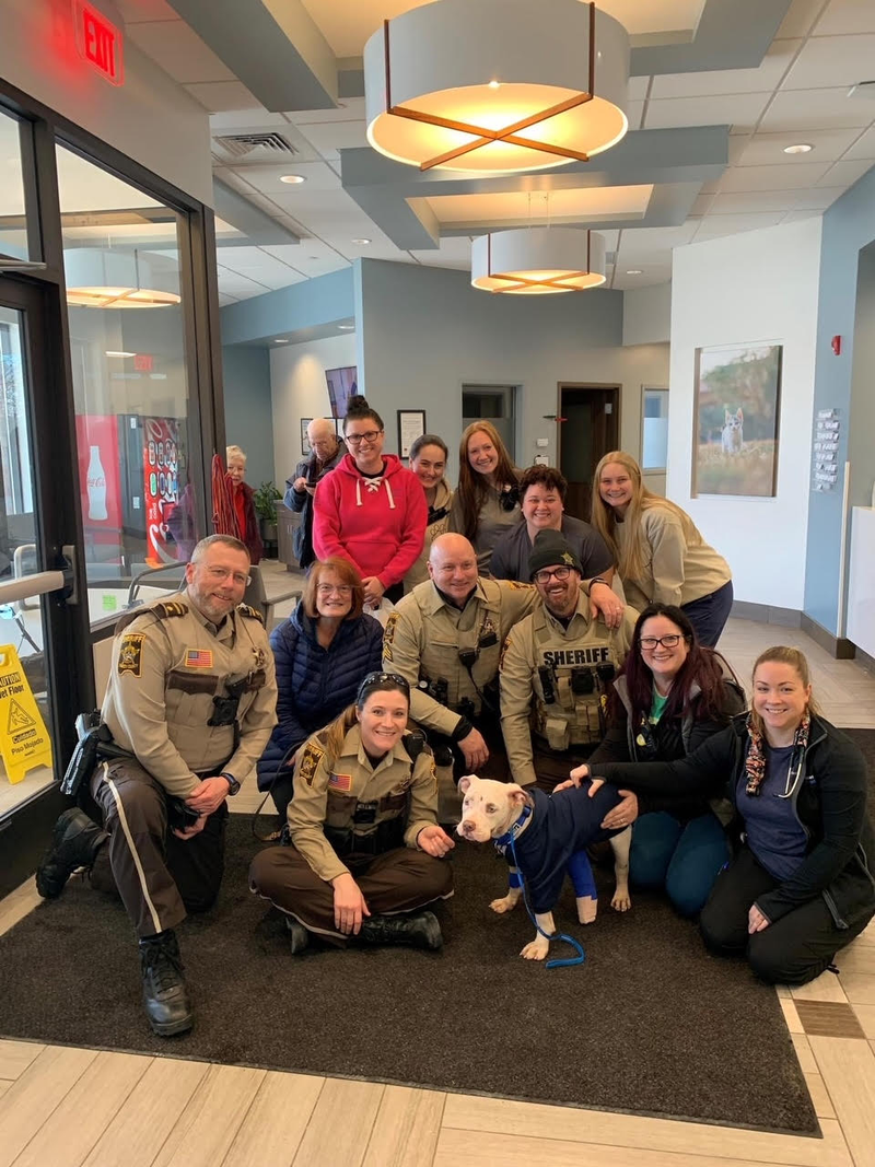 Deputies with the dog after receiving care. 