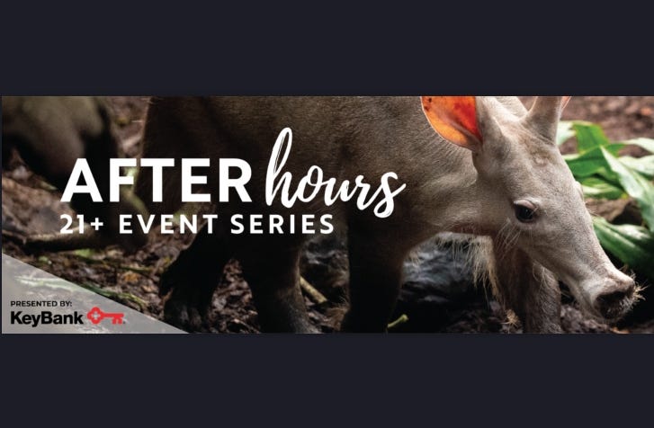 When the sun goes down, a different kind of wild animal will get the chance to sip, party and play at the Detroit Zoo gets ready to kick off their After Hours 21+ Event Series next month.