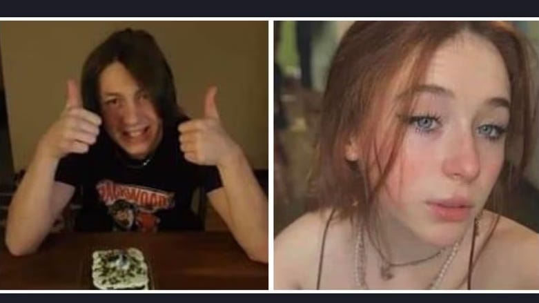 Bodies of 2 missing teens discovered in woods near Wisconsin-Michigan border