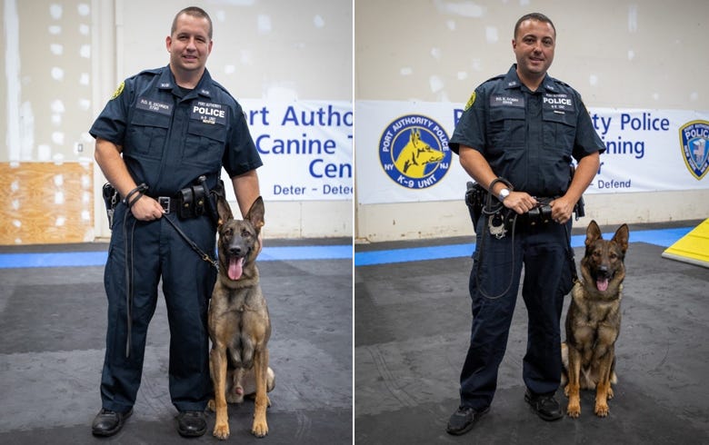 PAPD K-9s