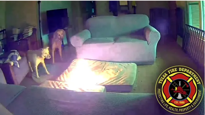 Video shows dog chewing cellphone battery pack, igniting fire in Oklahoma home