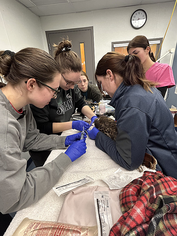 University of Illinois