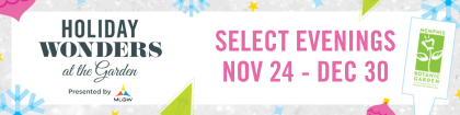 Holiday Wonders at the Garden