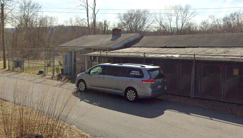 Tri Town Regional Animal Control 