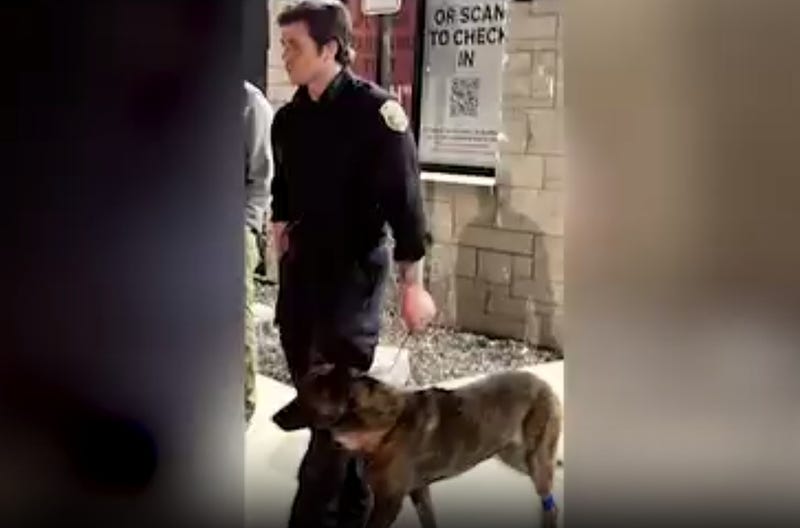 K-9 handler, Officer Max Houtman, prompting Sledge's deploymen