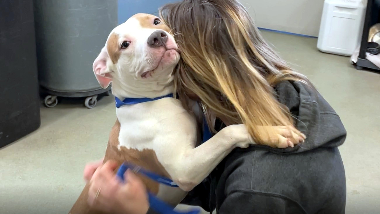 NJ man charged for leaving dog outside Iowa airport before flight to Newark