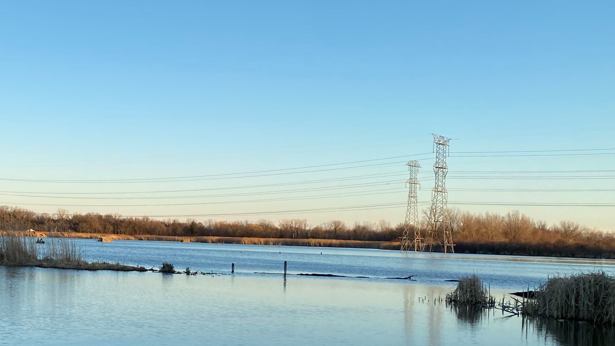 Death of pelican turns into positive change for McHenry County marsh