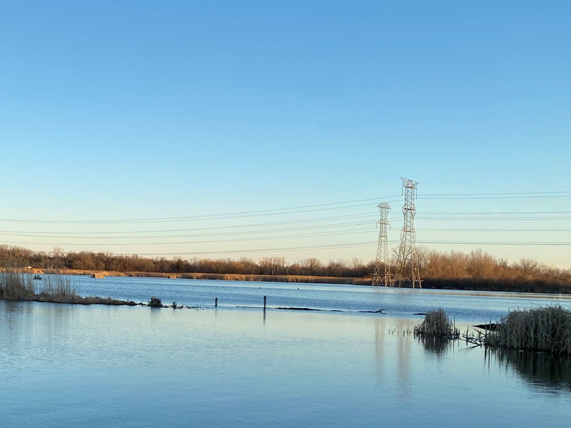 Black Crown Marsh in McHenry County