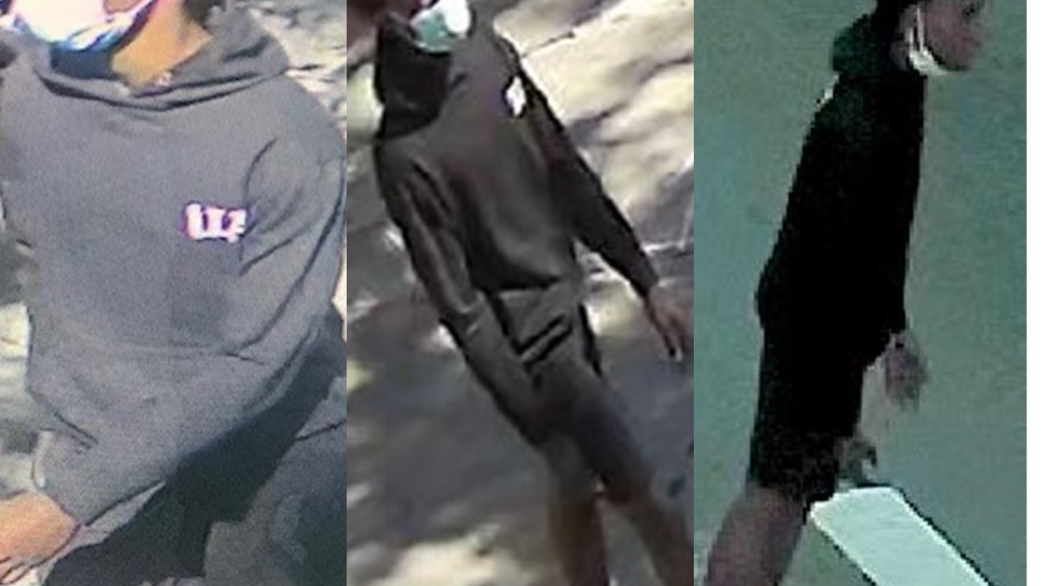 NEW PICS: Man sought in stray-bullet shooting of woman at Bronx park