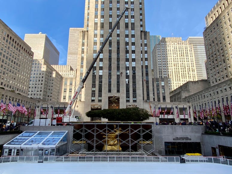 2019 Rockefeller Christmas tree