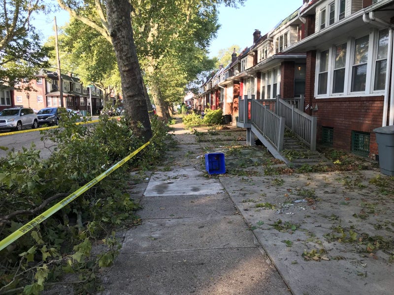 Damage from Wednesday night storms at Saul Street and Cheltenham Ave in Frankford.