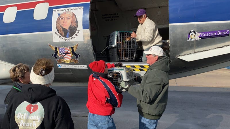 The Brandywine Valley SPCA along with their partners helped save 110 dogs so far from earthquake-devastated Puerto Rico. 