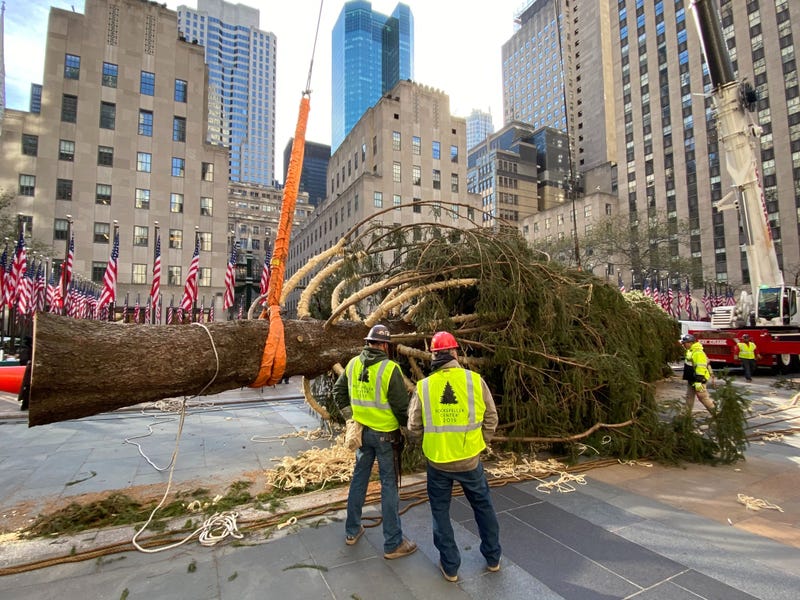 2019 Rockefeller Christmas tree