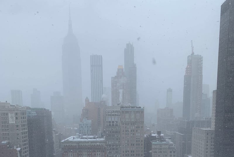 Snowstorm January 18