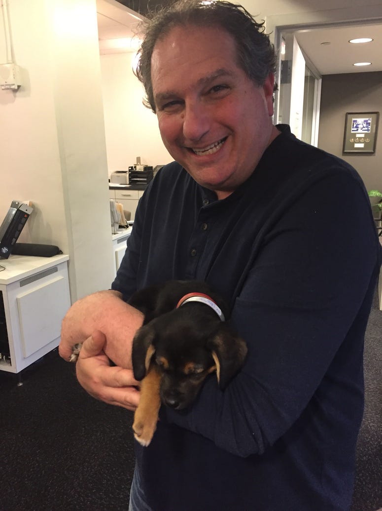 North Shore Animal League