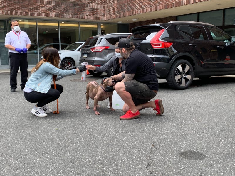 Jessica and Marvin Graaf of Philly Bully Team reunited 15-year-old Gucci with the Chamlee family from Tennessee.