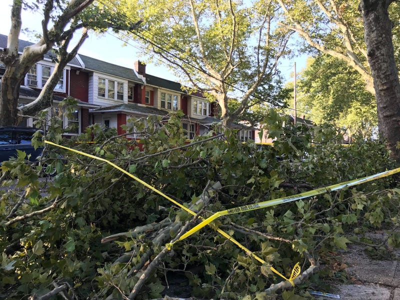 Damage from Wednesday night storms at Saul Street and Cheltenham Ave in Frankford.