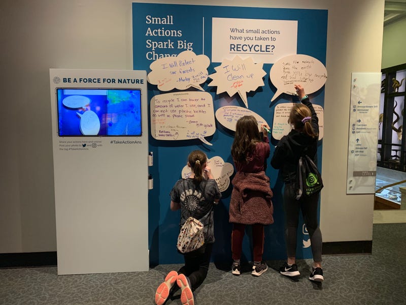A group of kids write down what they changes they plan to make to positively affect the environment at the Academy of Natural Sciences.