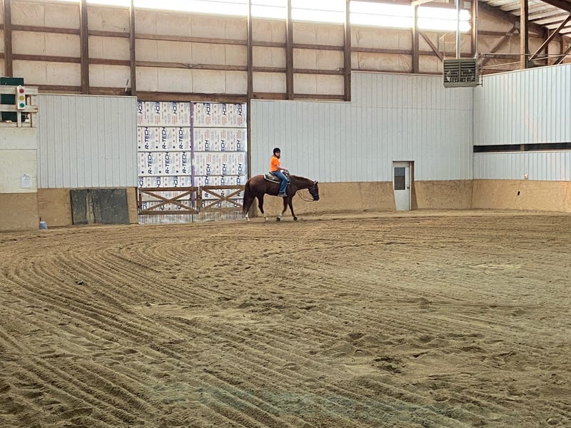 Difference Maker: Partners for Progress taps the magic of horses to make ‘dreams and miracles’ happen for people with physical ailments