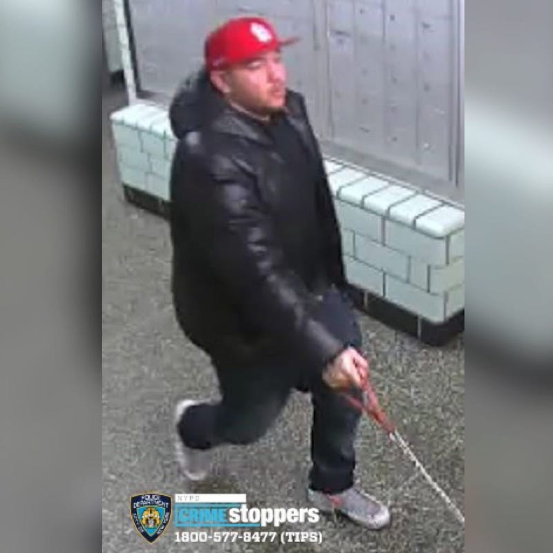 Bronx Suspect