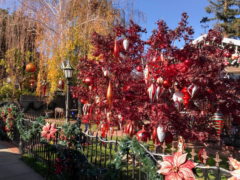 Holiday decorations on Eucalyptus Avenue in San Carlos