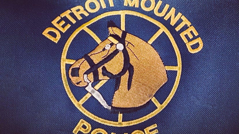 Meet the real horsepower in the Motor City: Detroit's Mounted Police unit