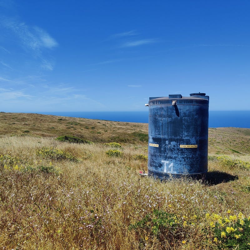 A water tank trucked in by rangers at the Point Reyes National Seashore to prevent dehydration for the rare Tule elk