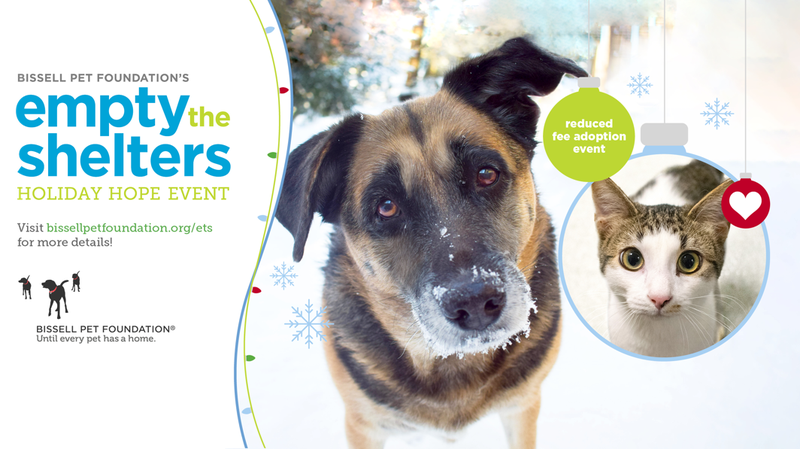 Empty the Shelters