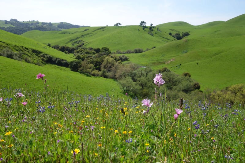 The proposed land in south Santa Clara County that could be developed.