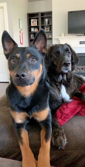 Gunner and Luka