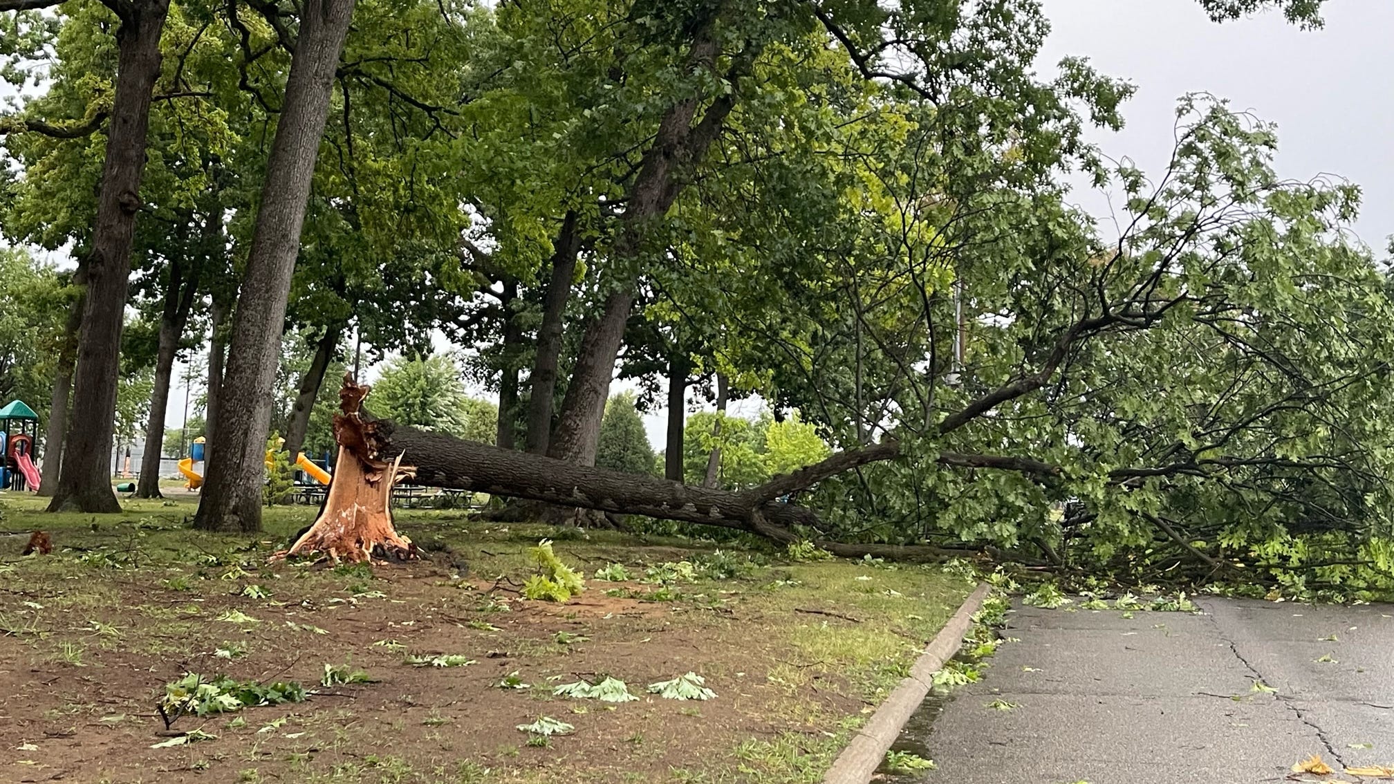 Severe weather leaves hundreds of thousands without power, event disruptions, debris damage
