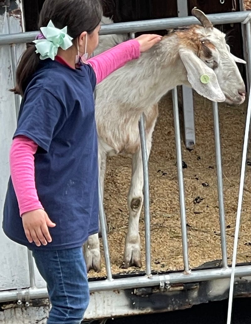 A girl pets one of the Beautification Council's ghosts.