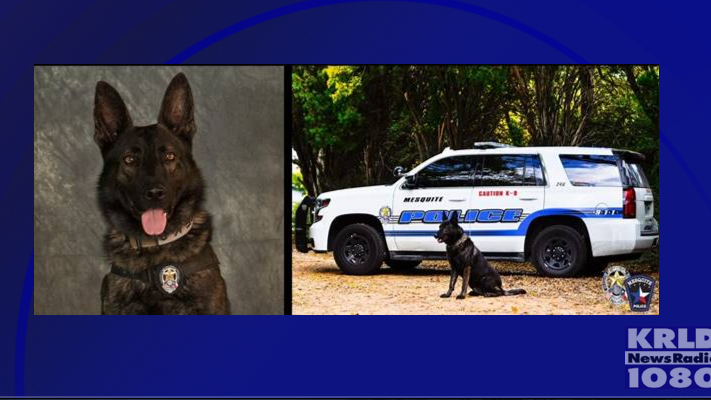 Mesquite Police K9 officer killed after chase