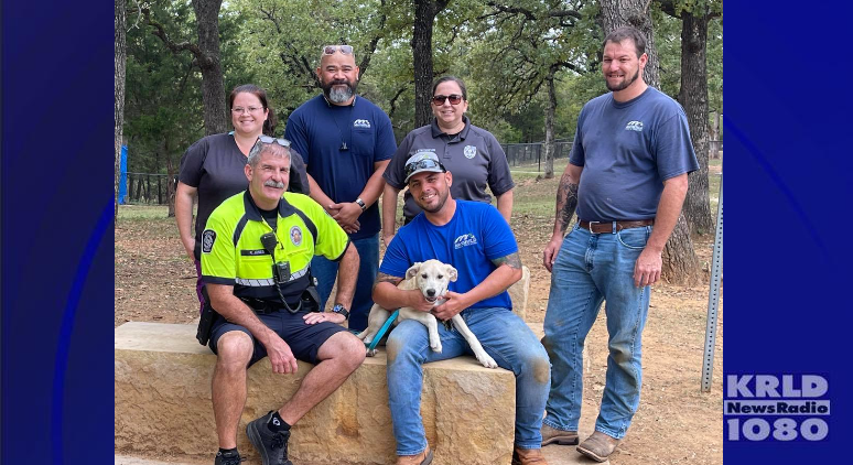 Puppy who had PVC pipe cut from neck adopted