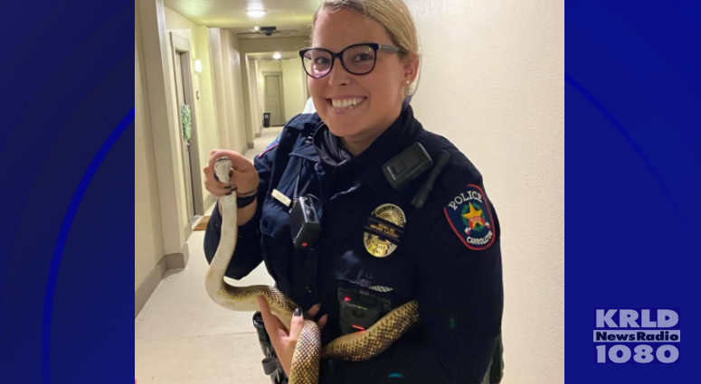 Carrollton Texas Police Department﻿